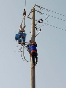 FZW28-12F柱上分界開關安裝案例